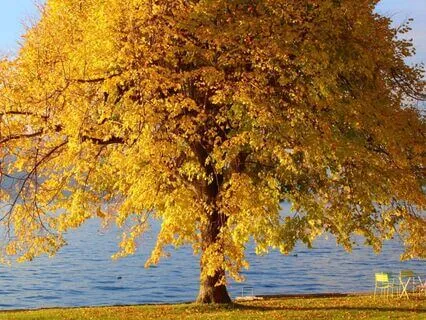 Podcast: Hitting Rock Bottom, And How It Saved Me