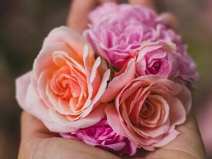 Podcast : How It Feels To Be An Avoidant In Relationships