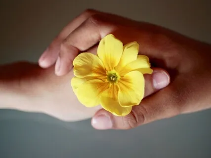 Поддержка Себе. Трансформирующая Аудио Настройка