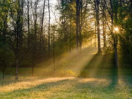 Poem: A Blessing On Your Days