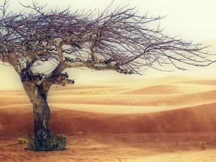 Poem: A Lodger For The Night