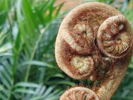 Poem: Abundant Earth