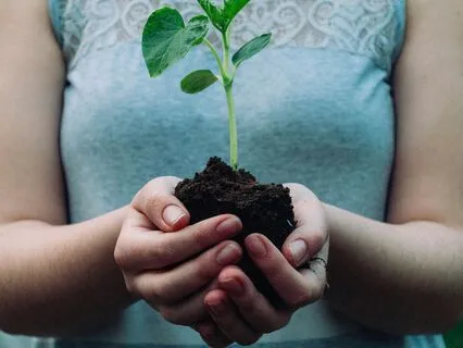 Poem: Bury Your Dreams