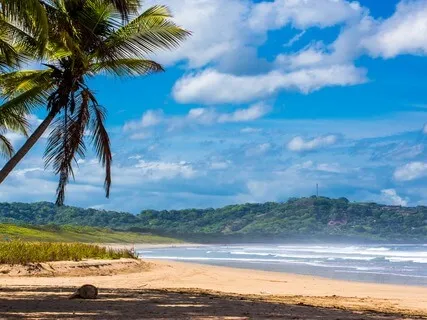 Poem By Rumi: Boil Nicely Now