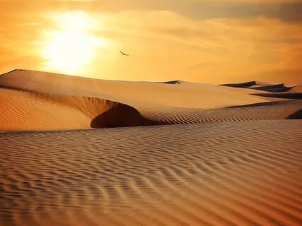 Poem:  Desert Song