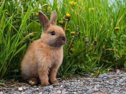 Poem: Do It All Again