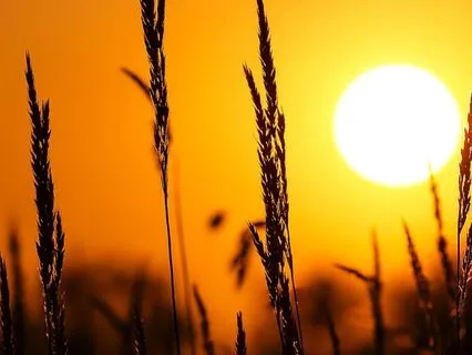 Poem: Do Not Stand At My Grave And Weep