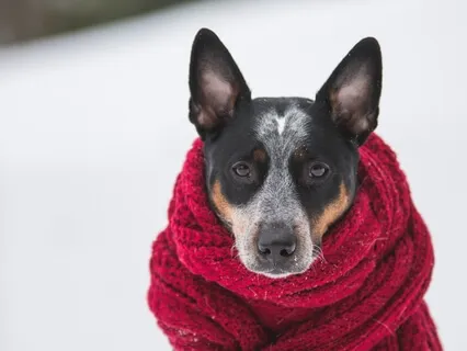 Poem: Don't Really Know.