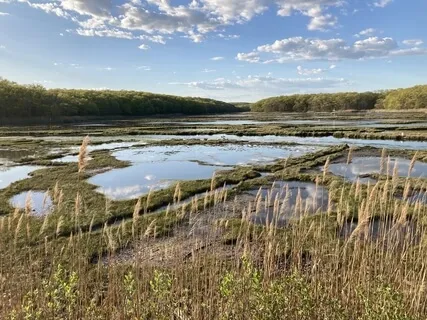 Poem: Dreams (By Langston Hughes)