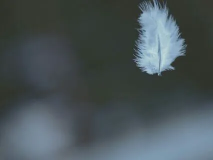 Poem Echoes Of The Unseen