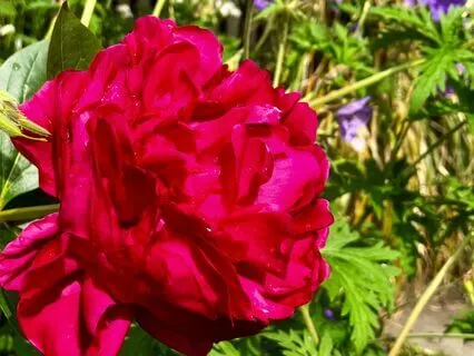 Connecting Mind And Body In Times Of Suffering