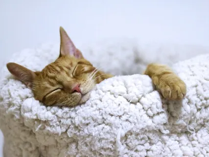 Poem: From The Very Beginning