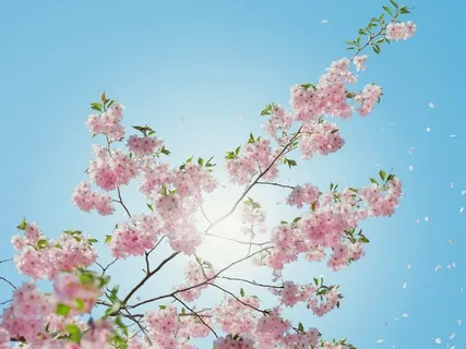 Poem: Gratitude Is...