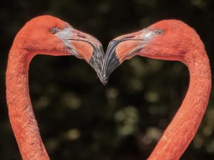 Poem: How Do I Love Thee?