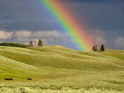 Poem: I Meant To Do My Work Today