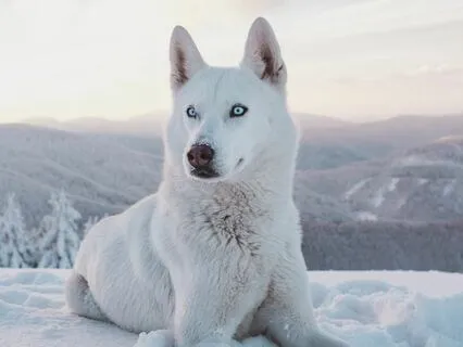 Poem: I Thought I Was