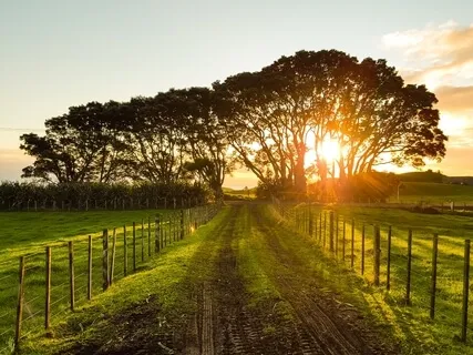 Poem: If I Could Tell You By W. H. Auden