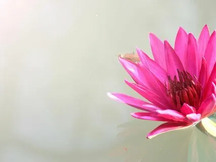 Poem Khalil Gibran "Do Not Love Half-Lovers"