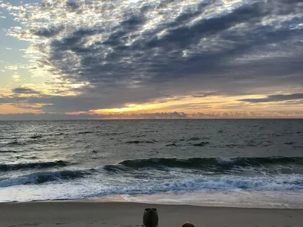 Poem: Live The Questions Now