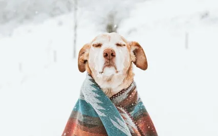 Poem: Maybe I'm Okay.