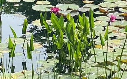 Poem: No Time To Lose