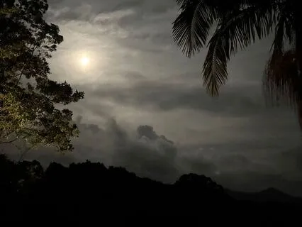 Poem- Orienting, Breath & Pendulation