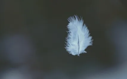 Poem - Our Song Of Peace