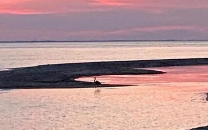 Poem: Peace Of Wild Things