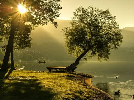 Poem Reading: What I Already Know By Candace Feldman