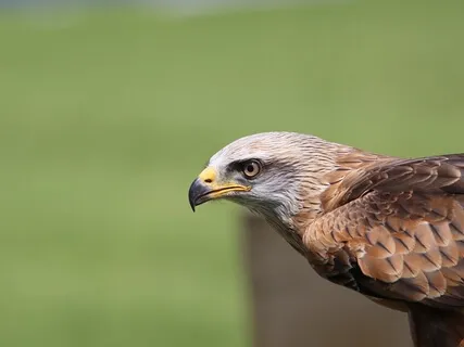 Poem: Small Kindnesses