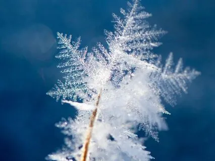 Poem:  Snowflakes