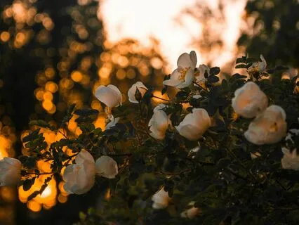 Poem: Stay In Your Heart