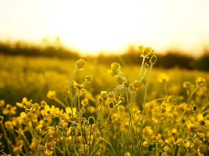 Poem: The Future I See