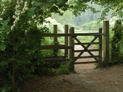 Soul Expression Series - Poem 5: The Gate