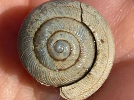 Poem- The Love Of The Universe