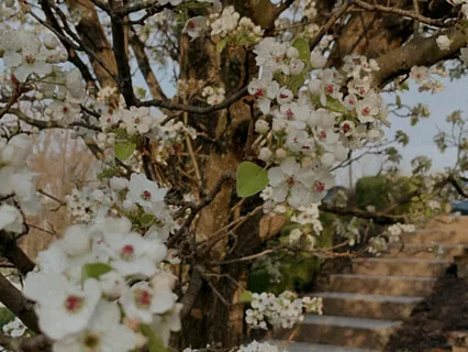 Poem: The Other Side