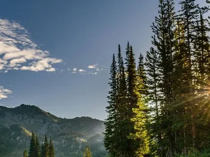 Poem:  The Things I Love (By Scottie McKenzie Frasier)