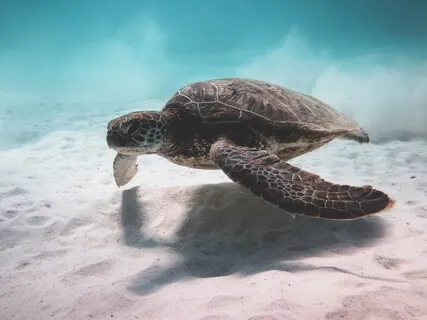 Poem: There Are Times