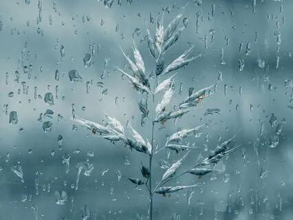 Poem: There Will Come Soft Rains