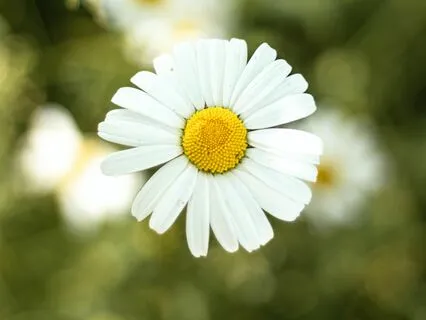 Poem: This Black Paint