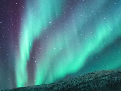 Poem: Universal Safety Net By Sandra Bekerman