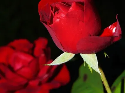 Poem: When I Compare Myself To You