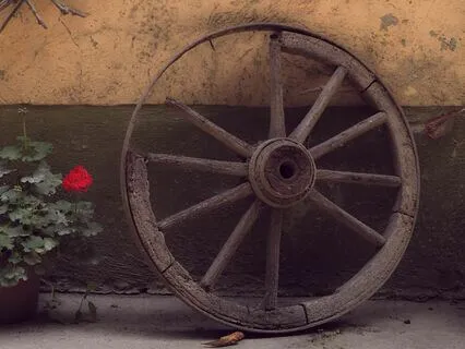 Poem: Who Am I In This Cycle