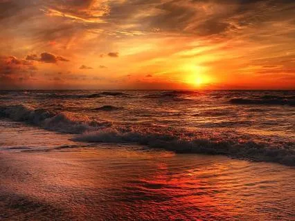 Poem: Wild Nights! (By Emily Dickinson)