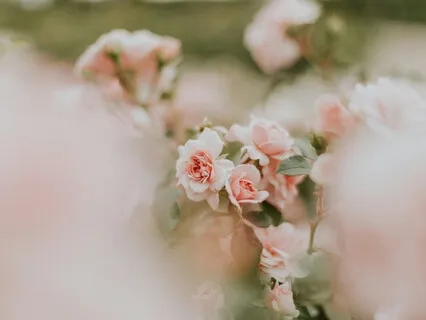 Poems To Feel More Present