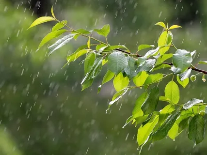 Poetic Meditation For Anxiety 