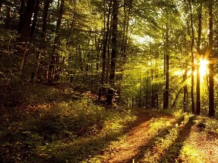 Poetry Infused Deep Relaxation