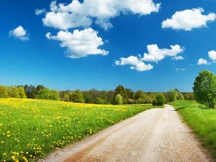 Poetry: My Heart Is Open To New Possibilities