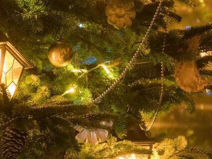 Poetry Reading: Christmas Dream