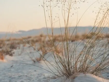 "On Love" From The Prophet By Khalil Gibran